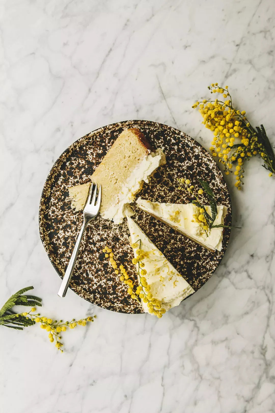 Kochbuch "Cooking Sustainably" - Cozy Publishing