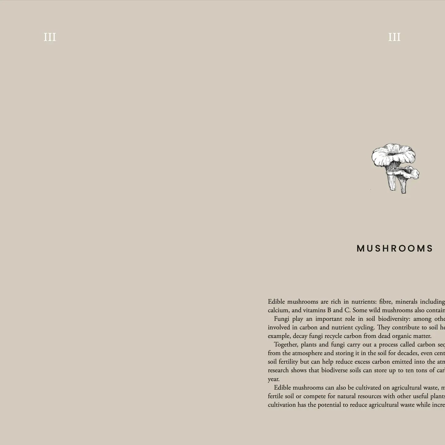 Kochbuch "Cooking Sustainably" - Cozy Publishing