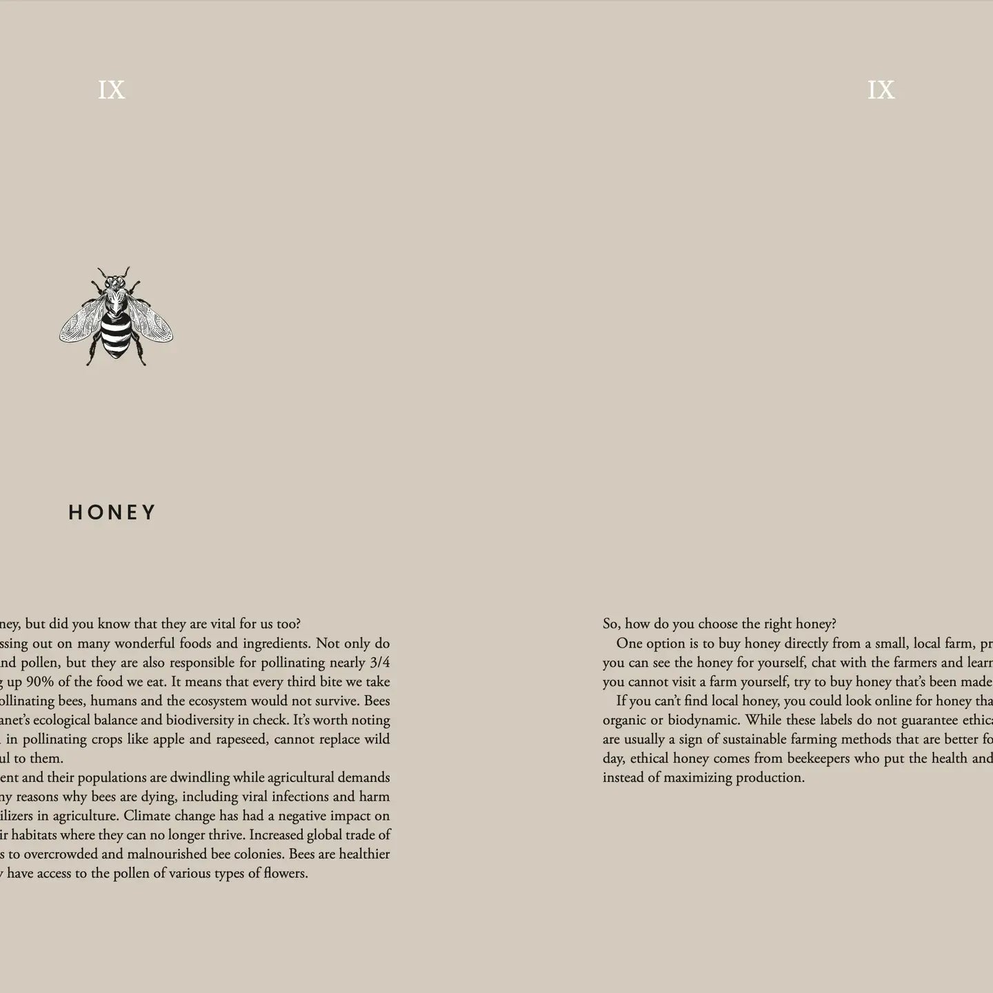 Kochbuch "Cooking Sustainably" - Cozy Publishing