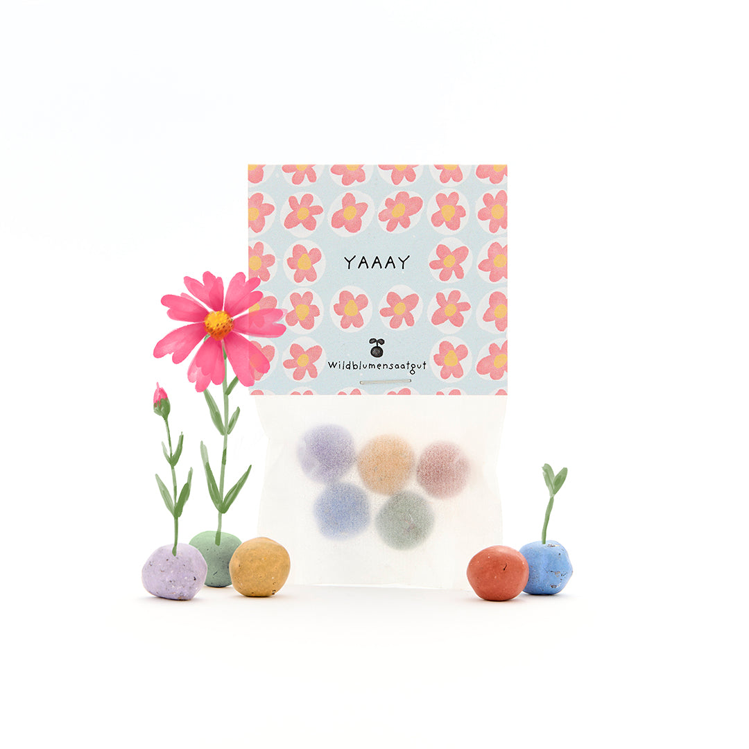5 Blumenmurmeln im Tütchen "Yay"