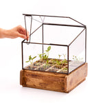 Hochwertiges Anzuchthaus mit 16 Fächern