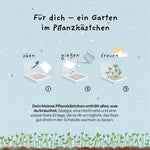 Pflanzkästchen - Herzrasen