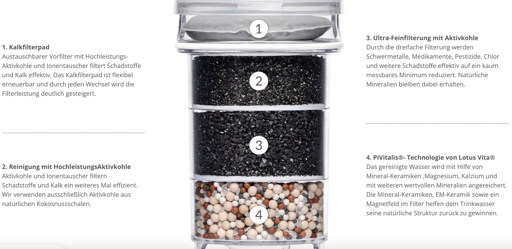 Lotus Vita - Filterkanne - ESPRIT - 1,3L