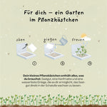 Pflanzkästchen - Viel Erfolg du Glückskind