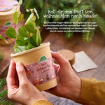 Lebkuchenbaum aus dem Becher