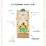 Anzuchtset – Minigarten BIO-Sonnenblume