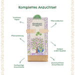 Anzuchtset – Minigarten Klimabaum