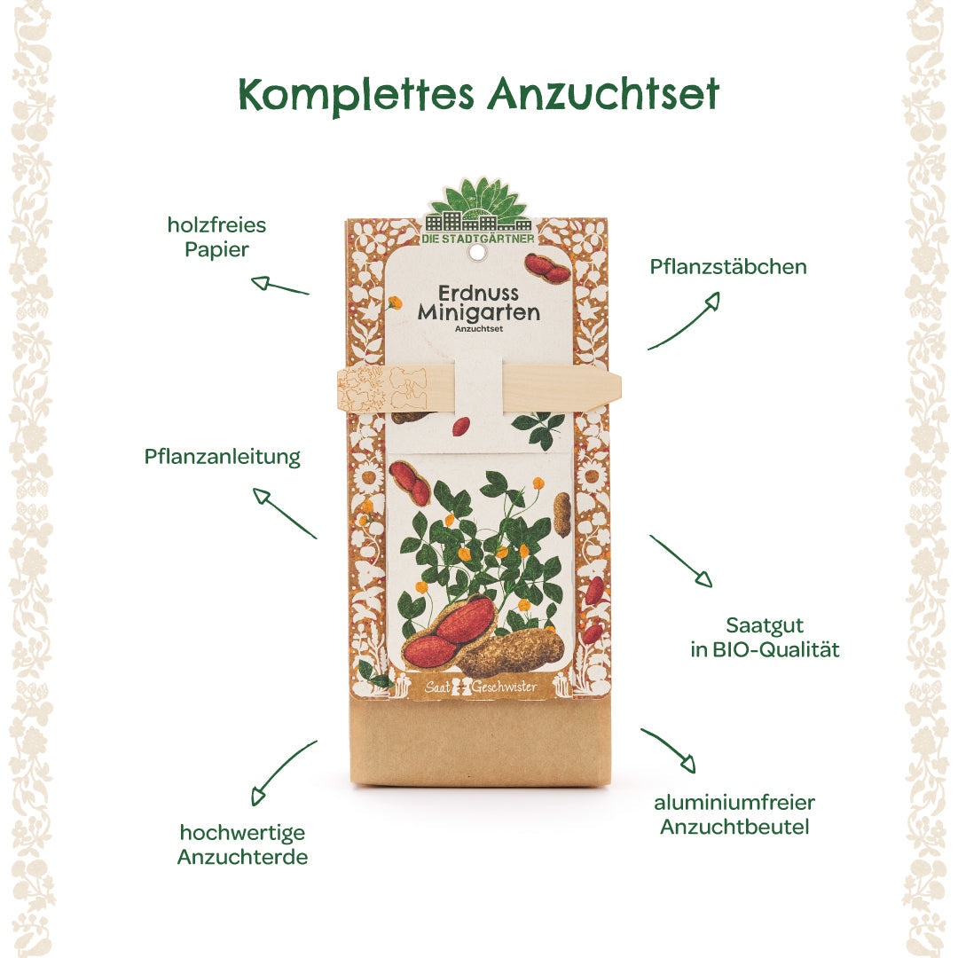 Anzuchtset – Minigarten Erdnuss