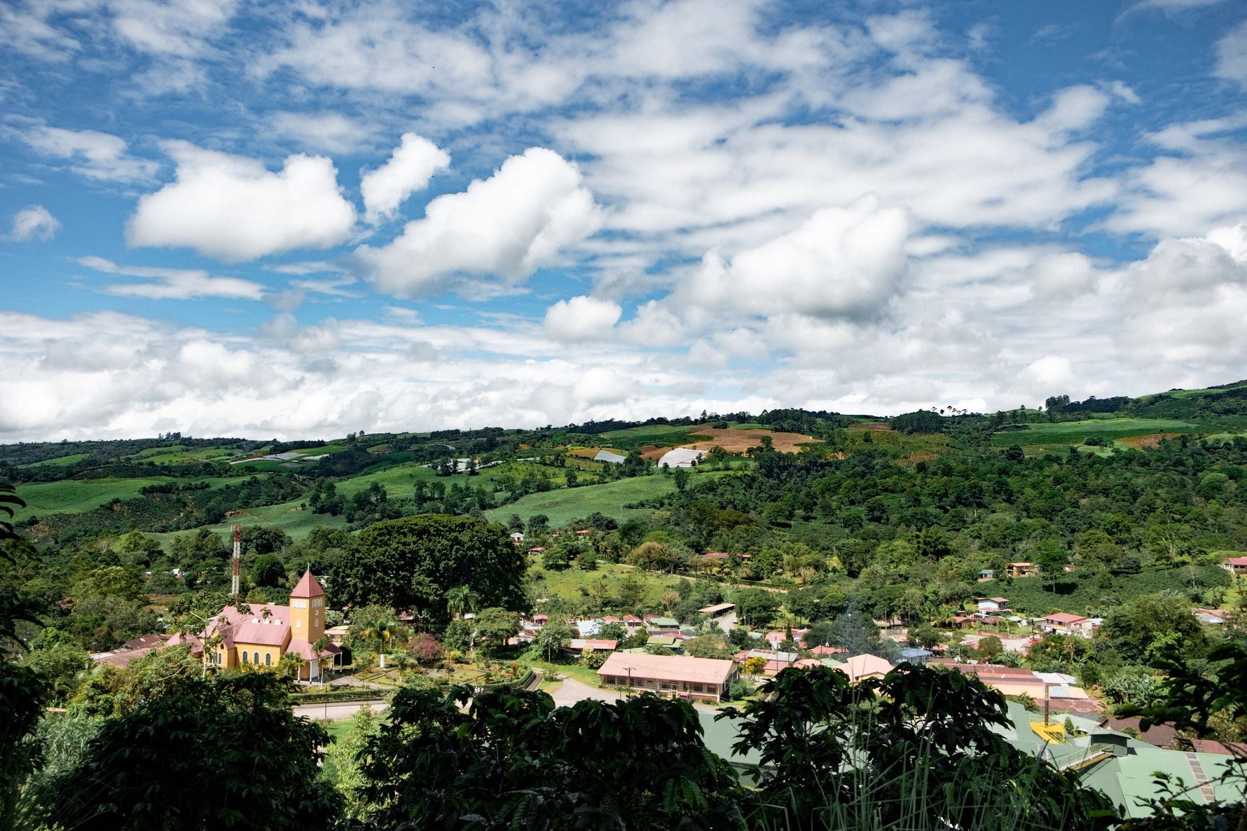 Corazón Oscuro - Dark Roast Blend