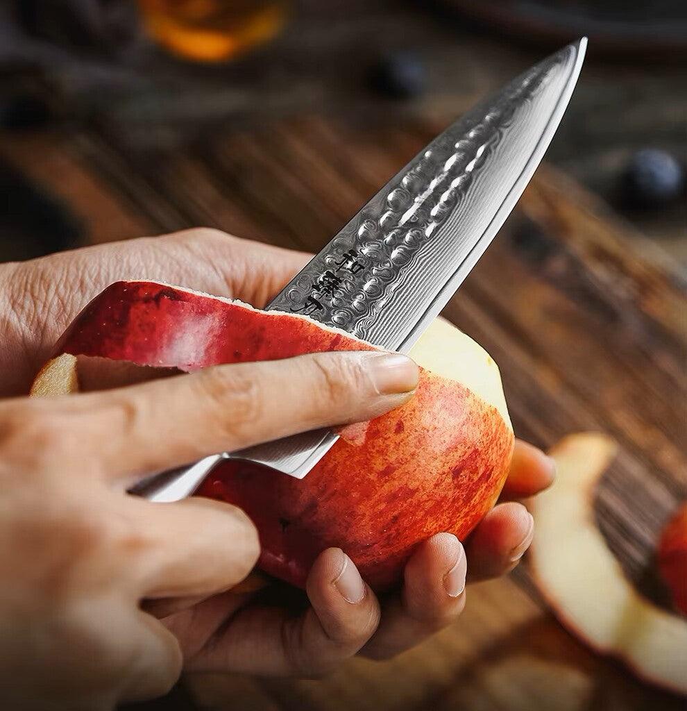 HEZHEN Santoku Damastmesser - Master Series 5 Zoll | 73-Lagen Premium Qualität