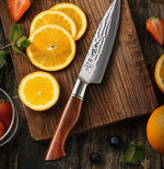 HEZHEN Santoku Damastmesser - Master Series 5 Zoll | 73-Lagen Premium Qualität