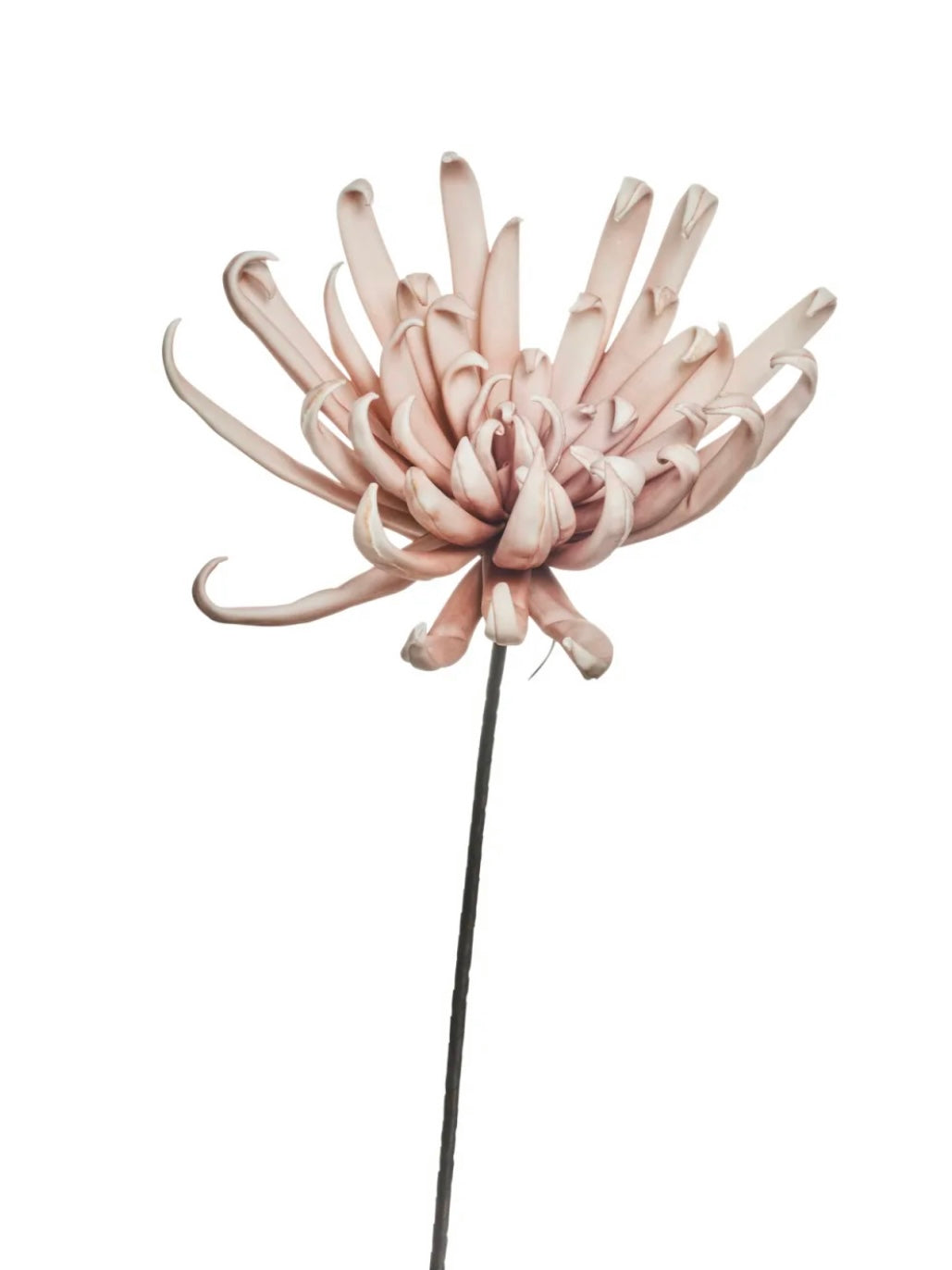 Kunstblume Happia 6047 altrosé