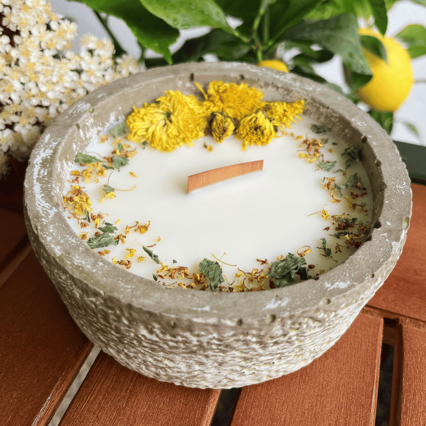 Limitierte Einzelstücke: Outdoor Citronella-Betonkerze „Mugge Schreck“ – Handgemachter Insektenschutz aus dem Südschwarzwald