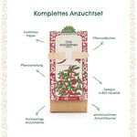 Anzuchtset – Minigarten BIO-Chili