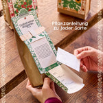 Anzuchtset – Minigarten BIO-Basilikum