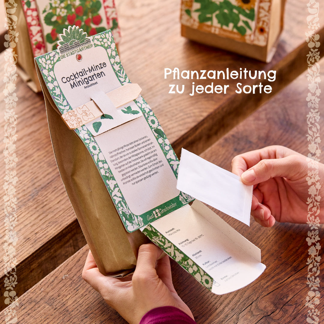 Anzuchtset – Minigarten BIO-Basilikum