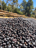 Café De La Casa - Espresso House Blend