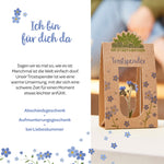 Trostspender – Echtes Vergissmeinnicht