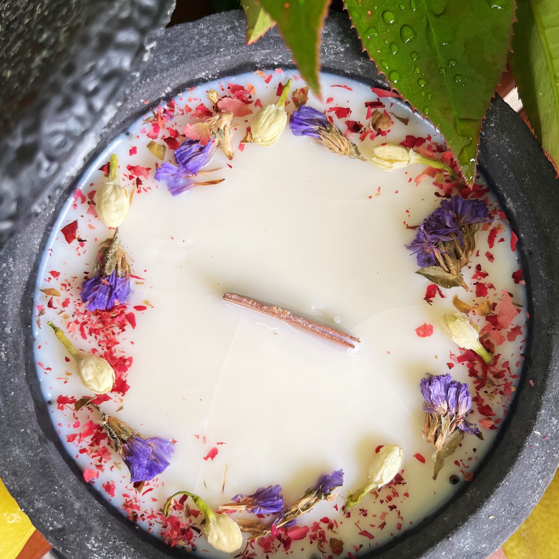 Black Edition HANDGEMACHTE Citronella BETONKERZE - Stilvolle Sojawachskerze für Ihr Zuhause. Outdoor Kerze mit Blütenverzierung und HOCHWERTIGEM Holzdocht aus dem Südschwarzwald