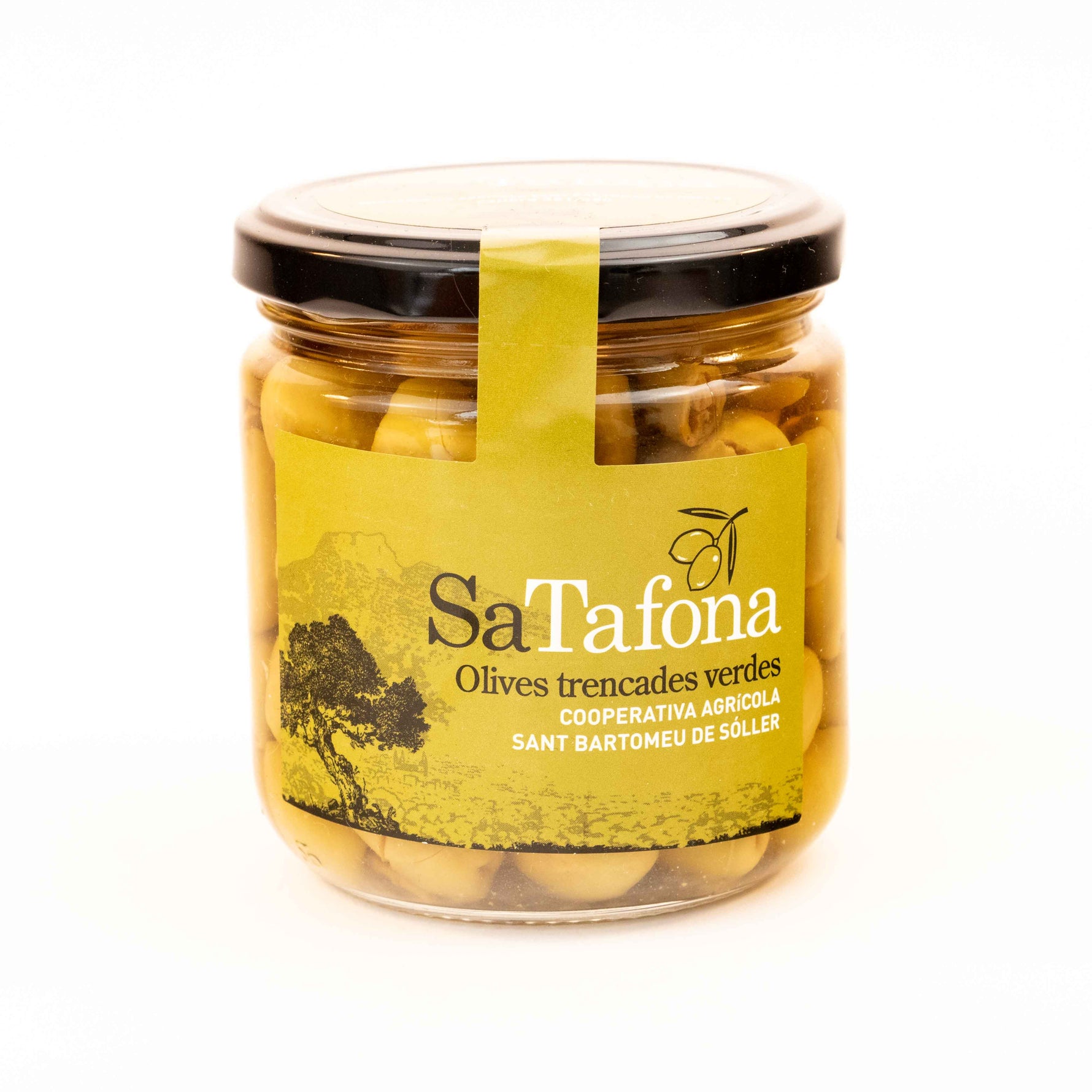 Grüne Oliven trencades Sa Tafona