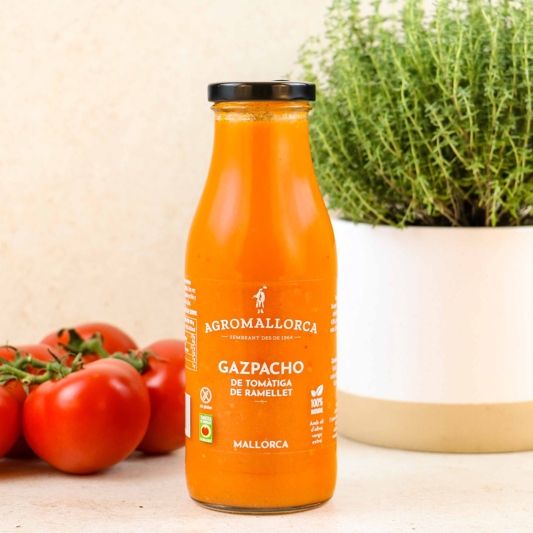 Spanische Gazpacho /Gemüsekaltschale