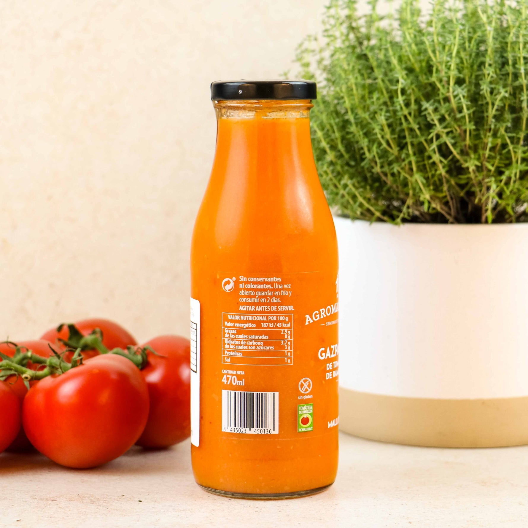 Spanische Gazpacho /Gemüsekaltschale