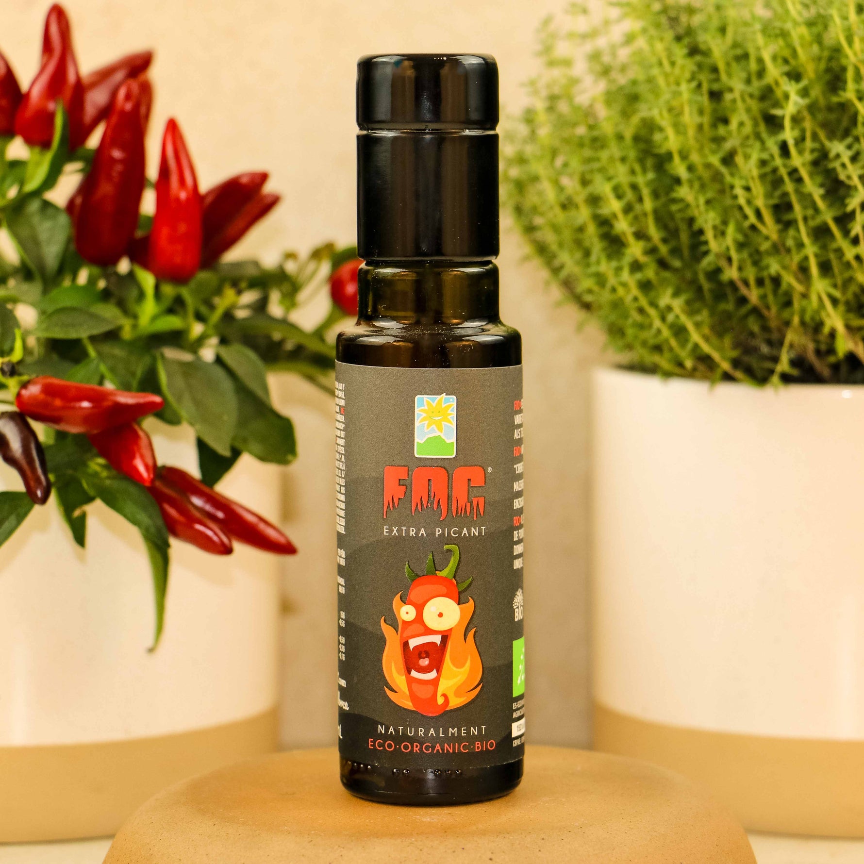 FOC Chilli-Olivenöl nativ