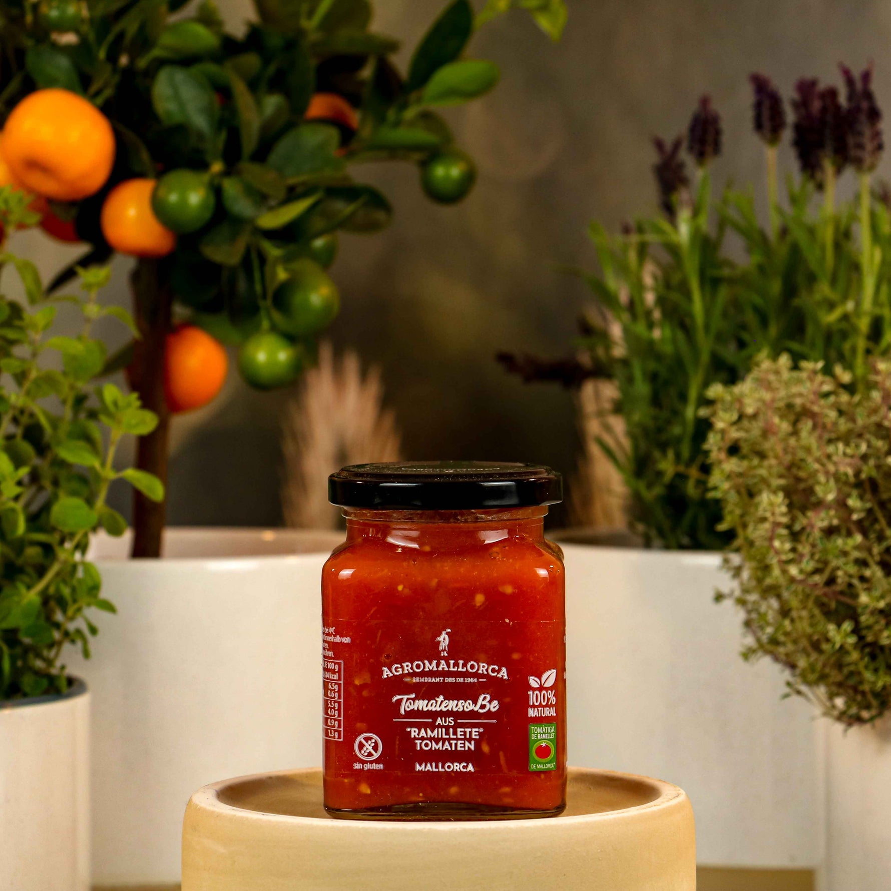 Pa amb Oli Tomatensauce Ramellet de Mallorca