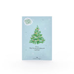 Fichten-Saatgut "Weihnachtsbaum 2030"