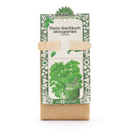 Anzuchtset – Minigarten BIO-Basilikum