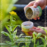 Streuwiese "Süß & Summend"