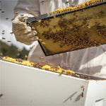 Manuka Honig MGO 150+, 500g