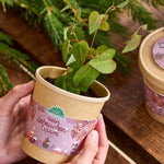 Lebkuchenbaum aus dem Becher