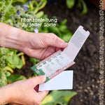 BIO-Saatgut Basilikum