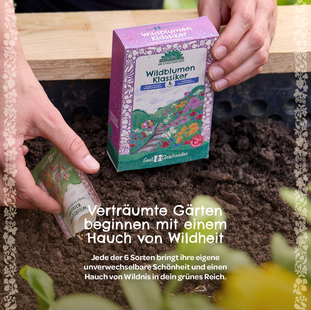 Saatgut-Set "Wildblumen"