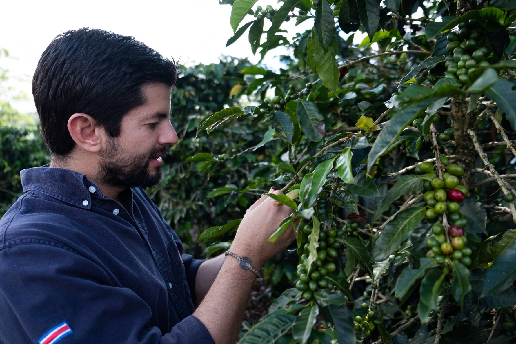 Costa Rica - Diego Robelo - Centroamericano Anaerobic Natural